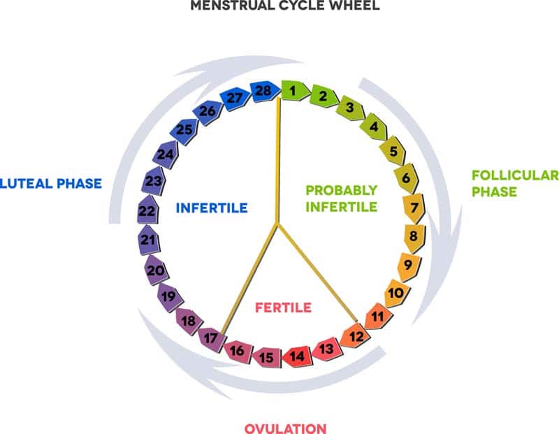 Tips For Tracking Your Ovulation Cycle - Fertilitytips.com