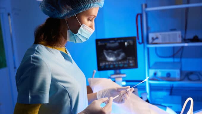 The Chances of a Successful Pregnancy are the Same for an Embryo Transfer on Both the Third and Fifth Day