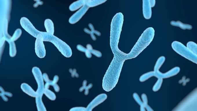 Clarifying the Role of Y-Chromosome Genes in Male Fertility